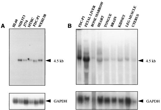 FIG. 3