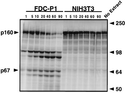 FIG. 5