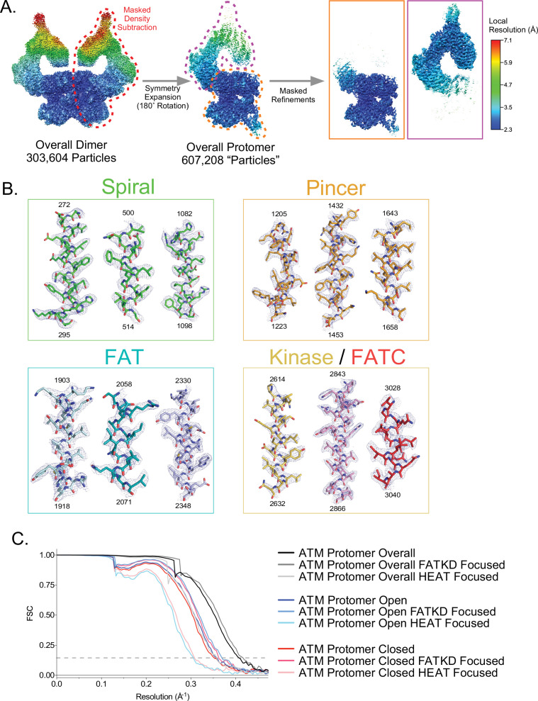 Figure 1—figure supplement 3.