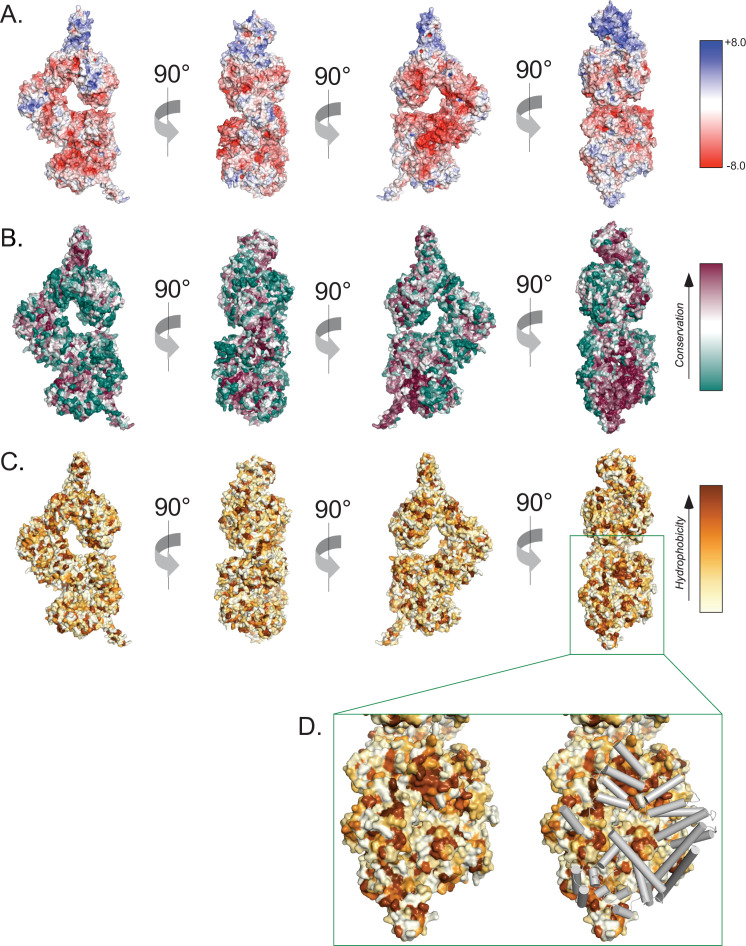 Figure 1—figure supplement 7.