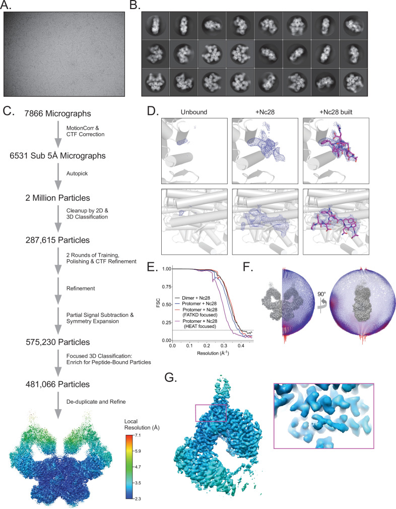 Figure 4—figure supplement 1.