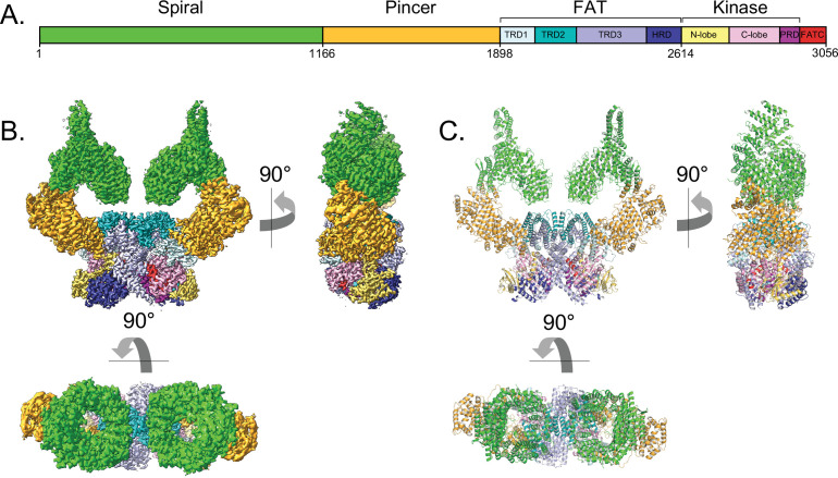 Figure 1.