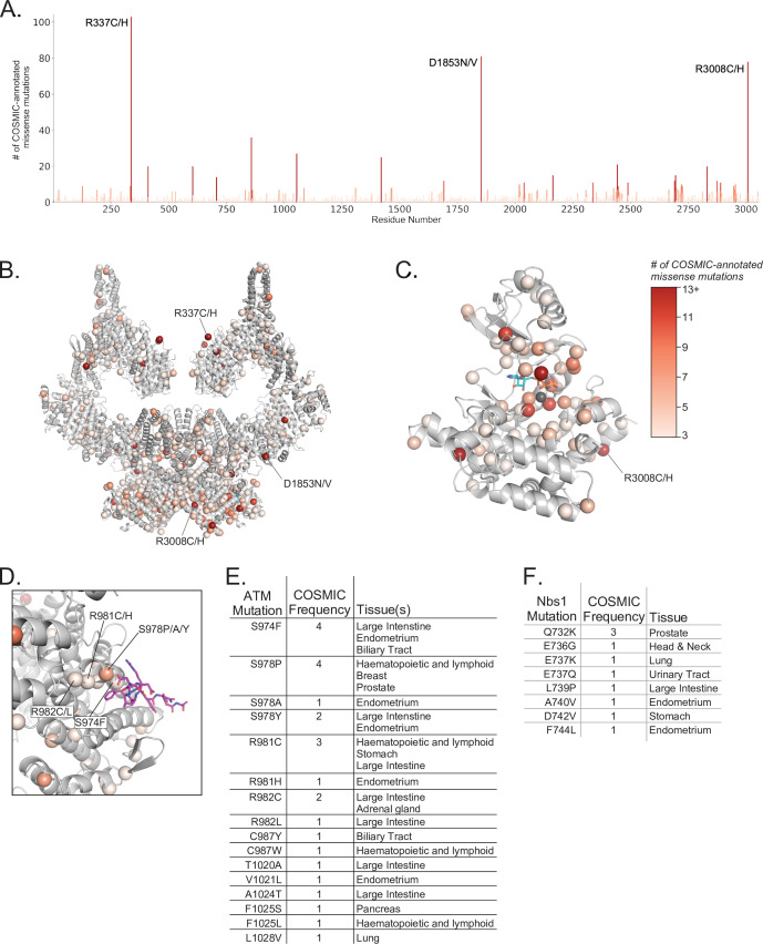 Figure 1—figure supplement 5.