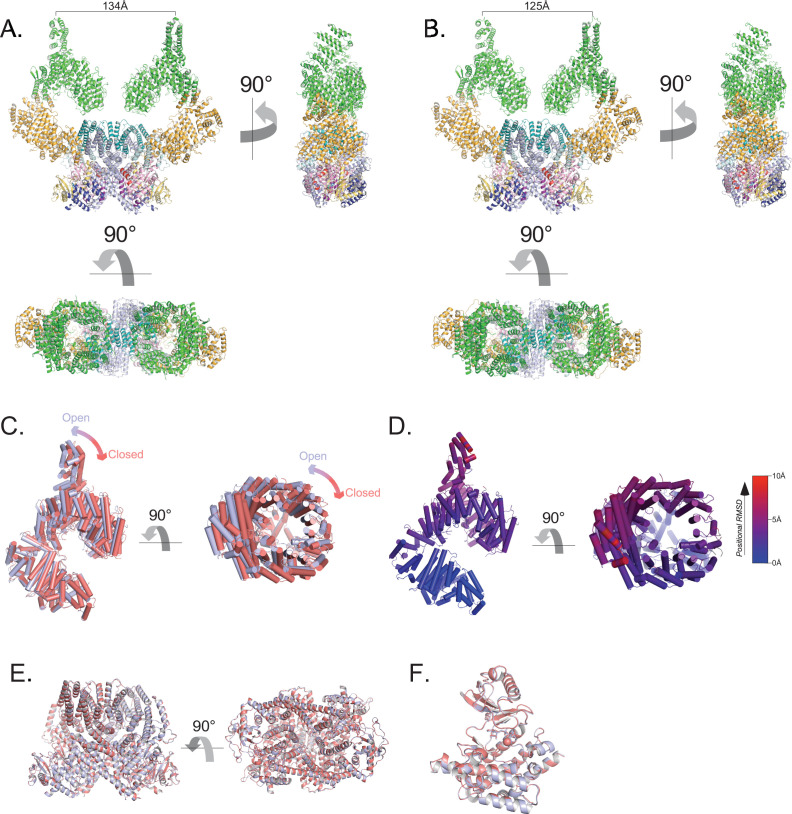 Figure 1—figure supplement 6.