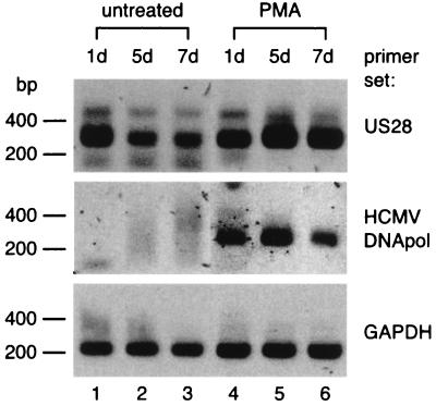 FIG. 6