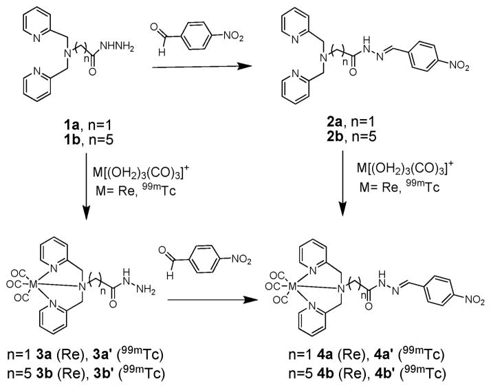 Scheme 1