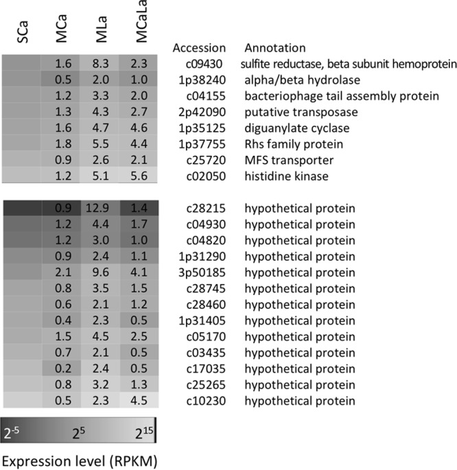 FIG 6 