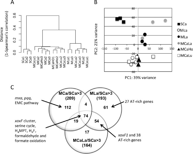 FIG 2 