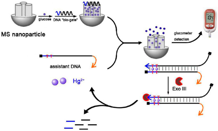 Figure 7