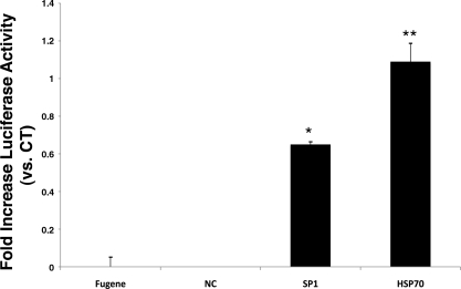 Fig. 9.