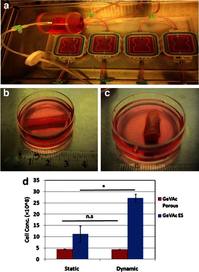 FIG. 6.