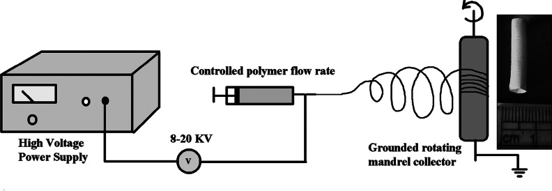 FIG. 1.