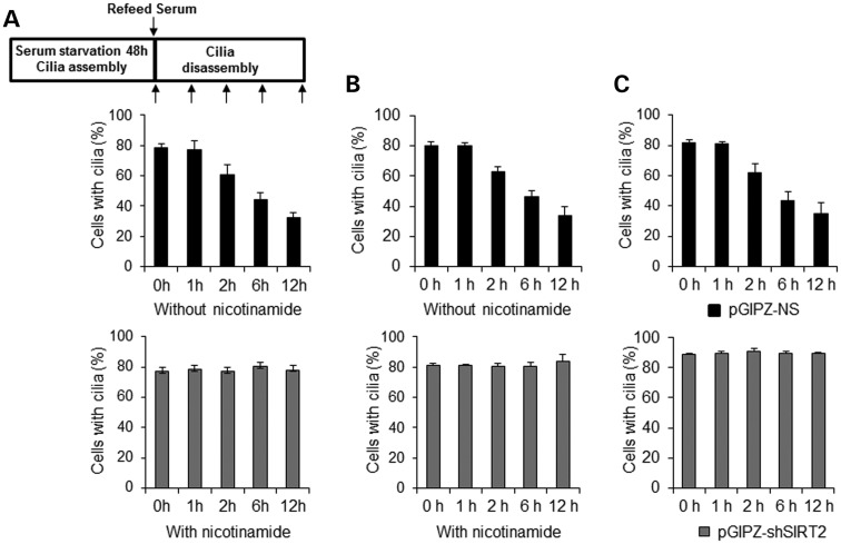 Figure 3.