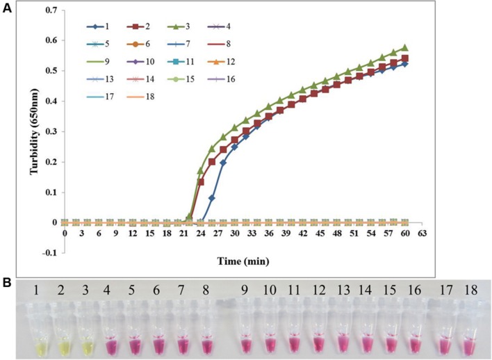 FIGURE 3