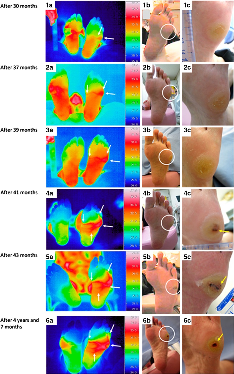 Fig. 2