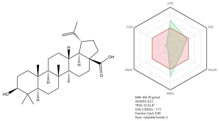 Figure 13