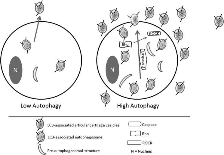 FIGURE 10.