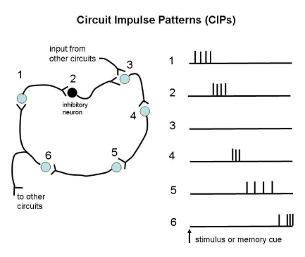 Figure 3.