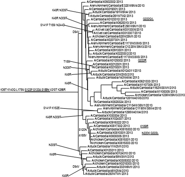 FIG 1 