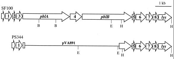 FIG. 1