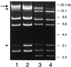 FIG. 5