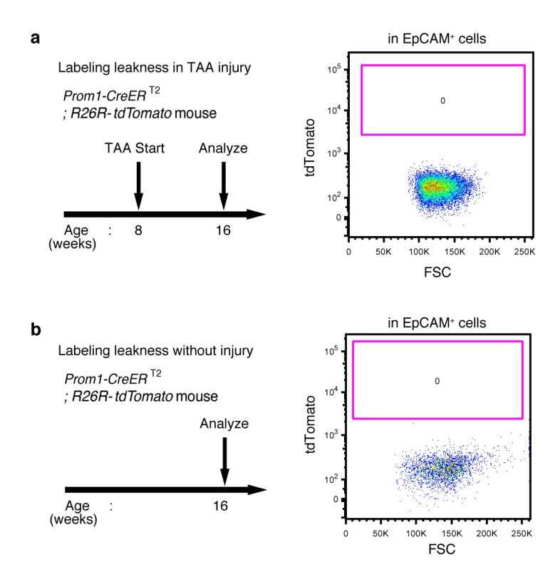 Figure 1—figure supplement 3.