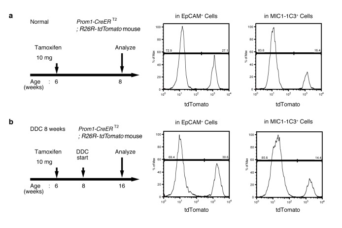 Figure 3—figure supplement 2.