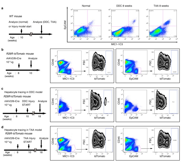 Figure 3—figure supplement 1.