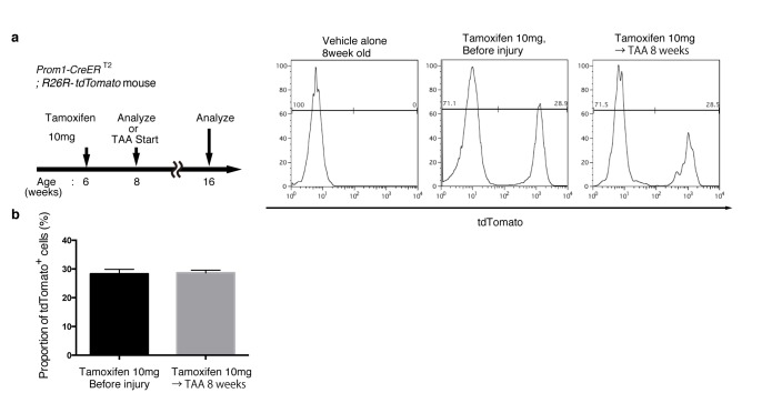 Figure 1—figure supplement 1.