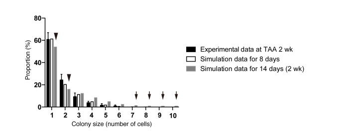 Figure 7—figure supplement 1.