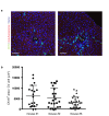 Figure 2—figure supplement 1.