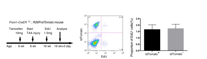 Figure 1—figure supplement 2.