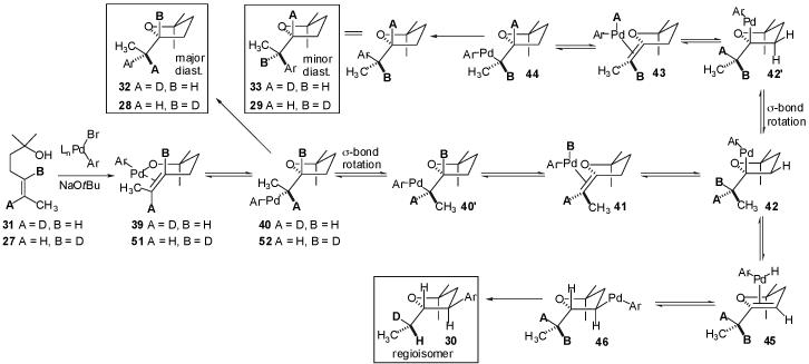 Scheme 3