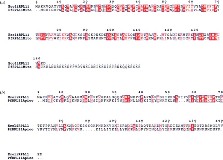 Figure 5.