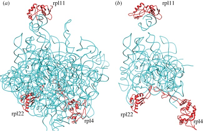 Figure 2.