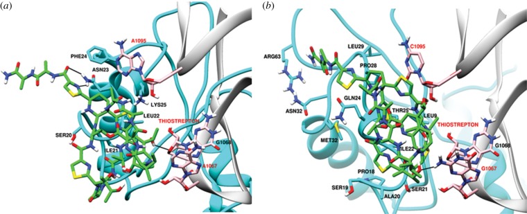 Figure 4.