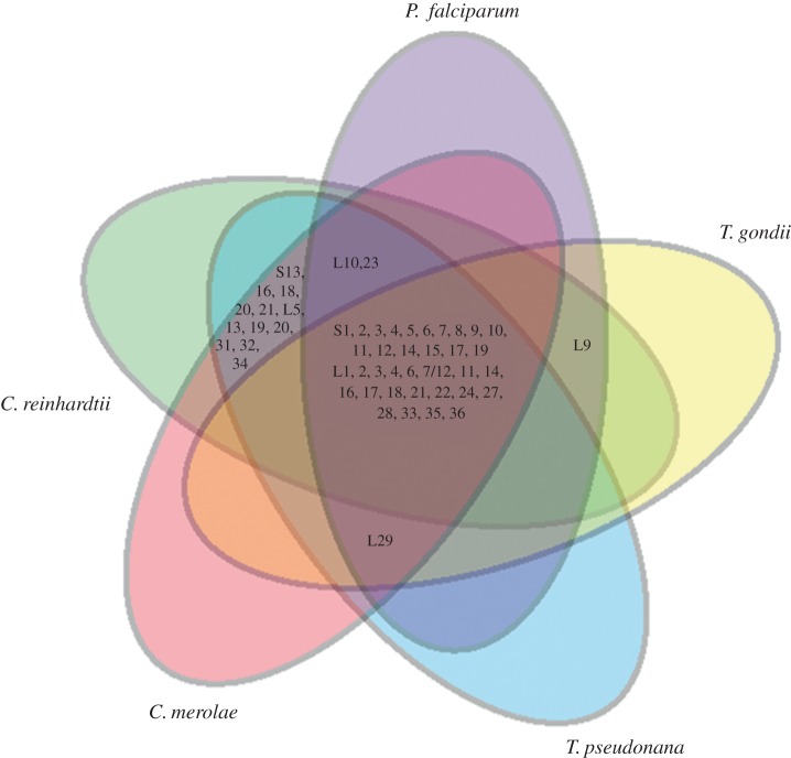 Figure 1.