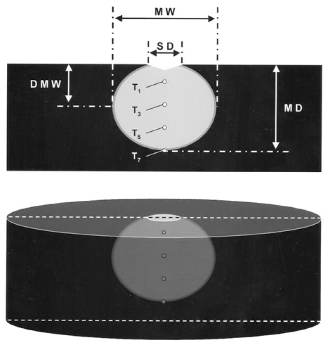 Fig. 3