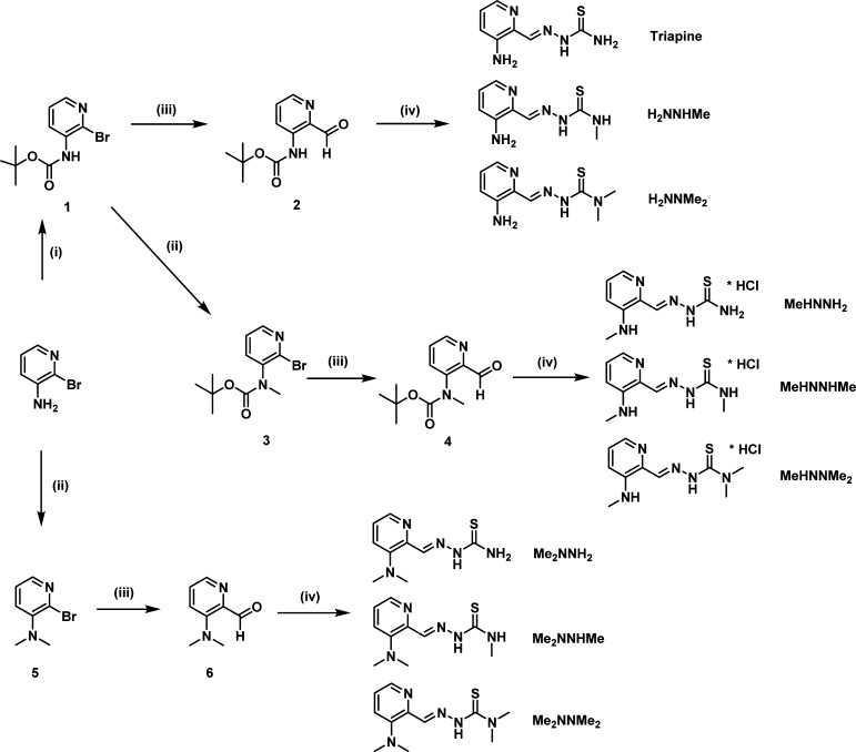 Scheme 1