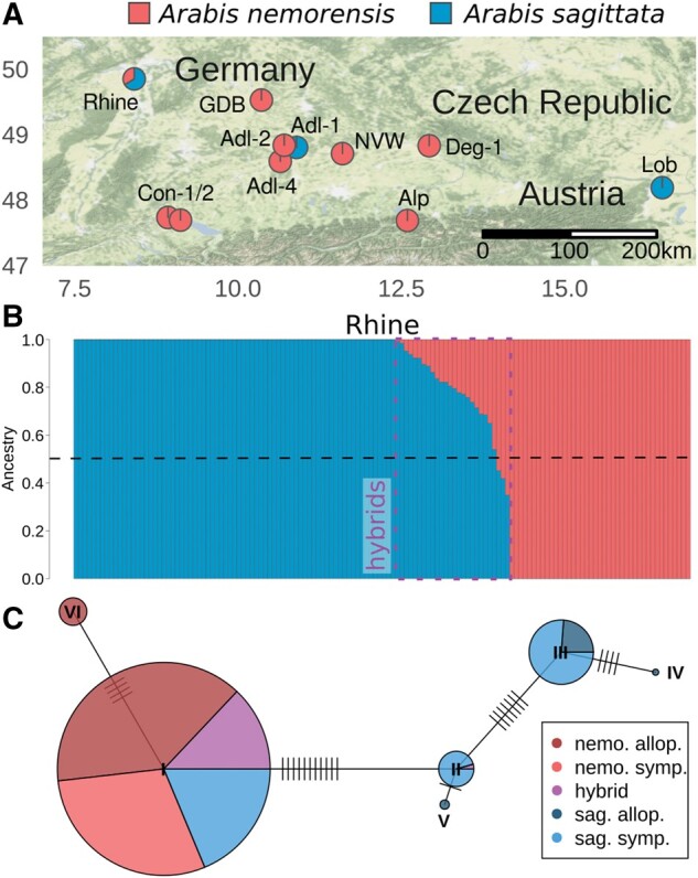 Fig. 1.