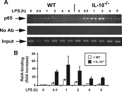 FIGURE 4.