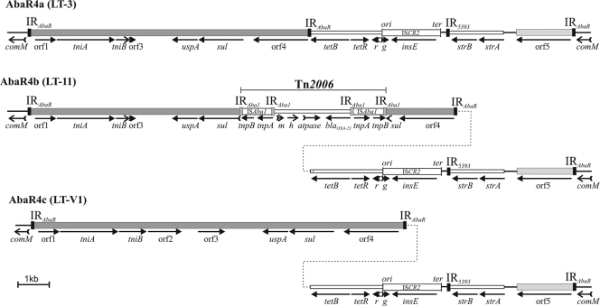 Fig 1