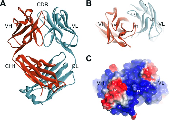 FIGURE 1.