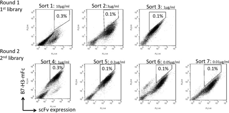 FIGURE 2.