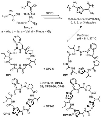 Scheme 1