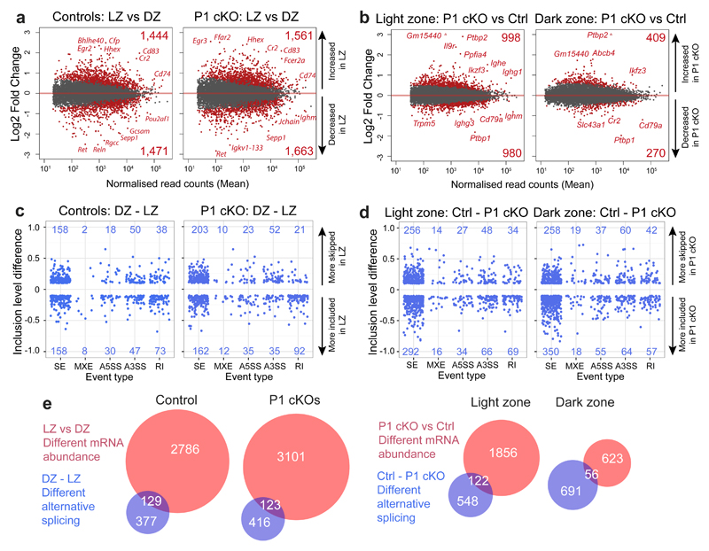 The RNA binding protein PTBP1 is necessary for B cell selection in ...