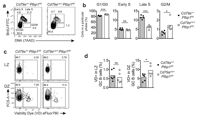 The RNA binding protein PTBP1 is necessary for B cell selection in ...