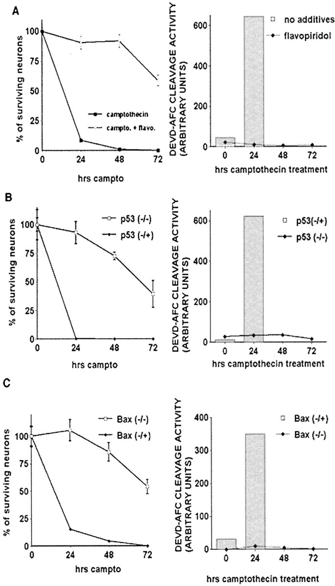 Fig. 9.