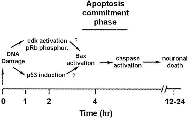 Fig. 10.