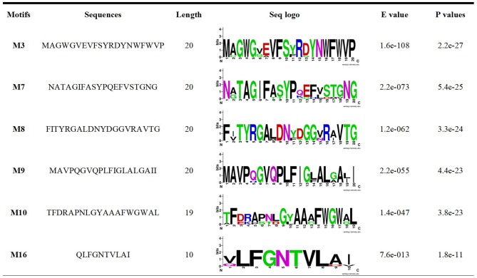 Figure 9